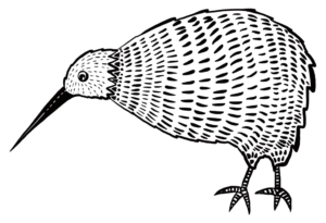 kiwi-illustration-300x205