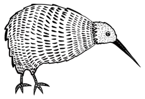 Gezeichneter Kiwi-Vogel